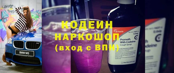 шишки Ельня
