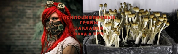 не бодяженный Алзамай