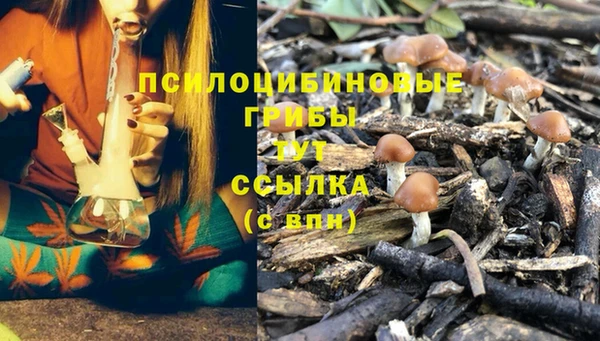 spice Козловка
