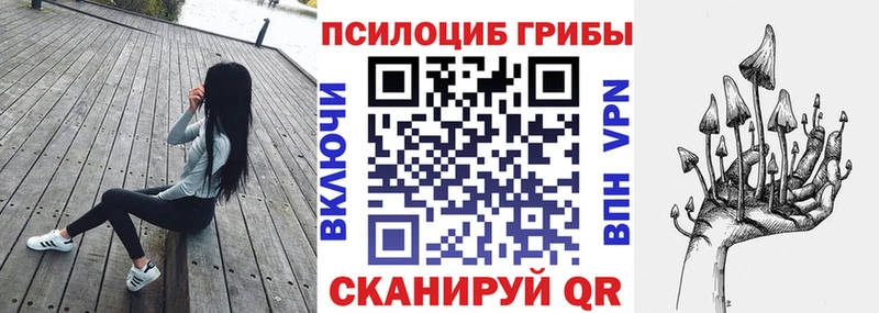 где продают наркотики  Хотьково  darknet наркотические препараты  Псилоцибиновые грибы GOLDEN TEACHER 